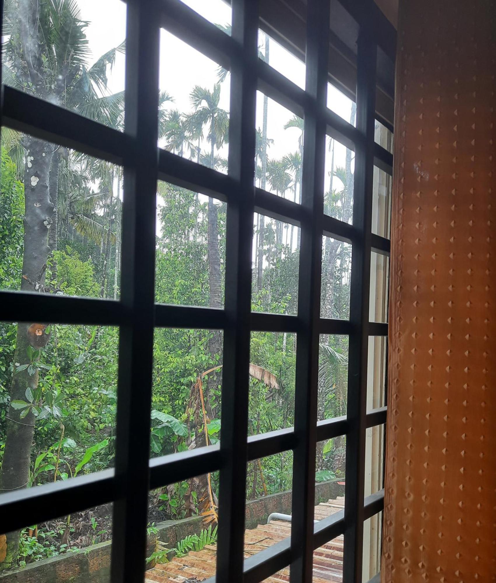 Nest Mdy Appartement Mananthavady Buitenkant foto